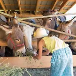 A La Ferme