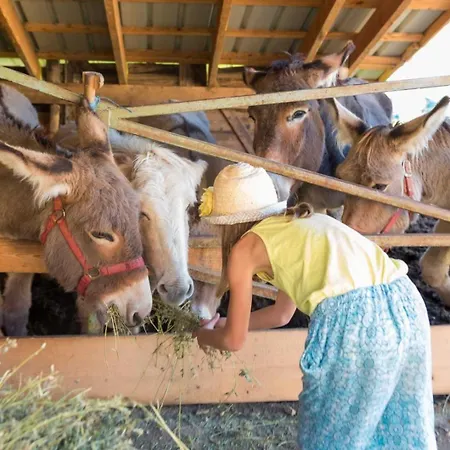 A La Ferme